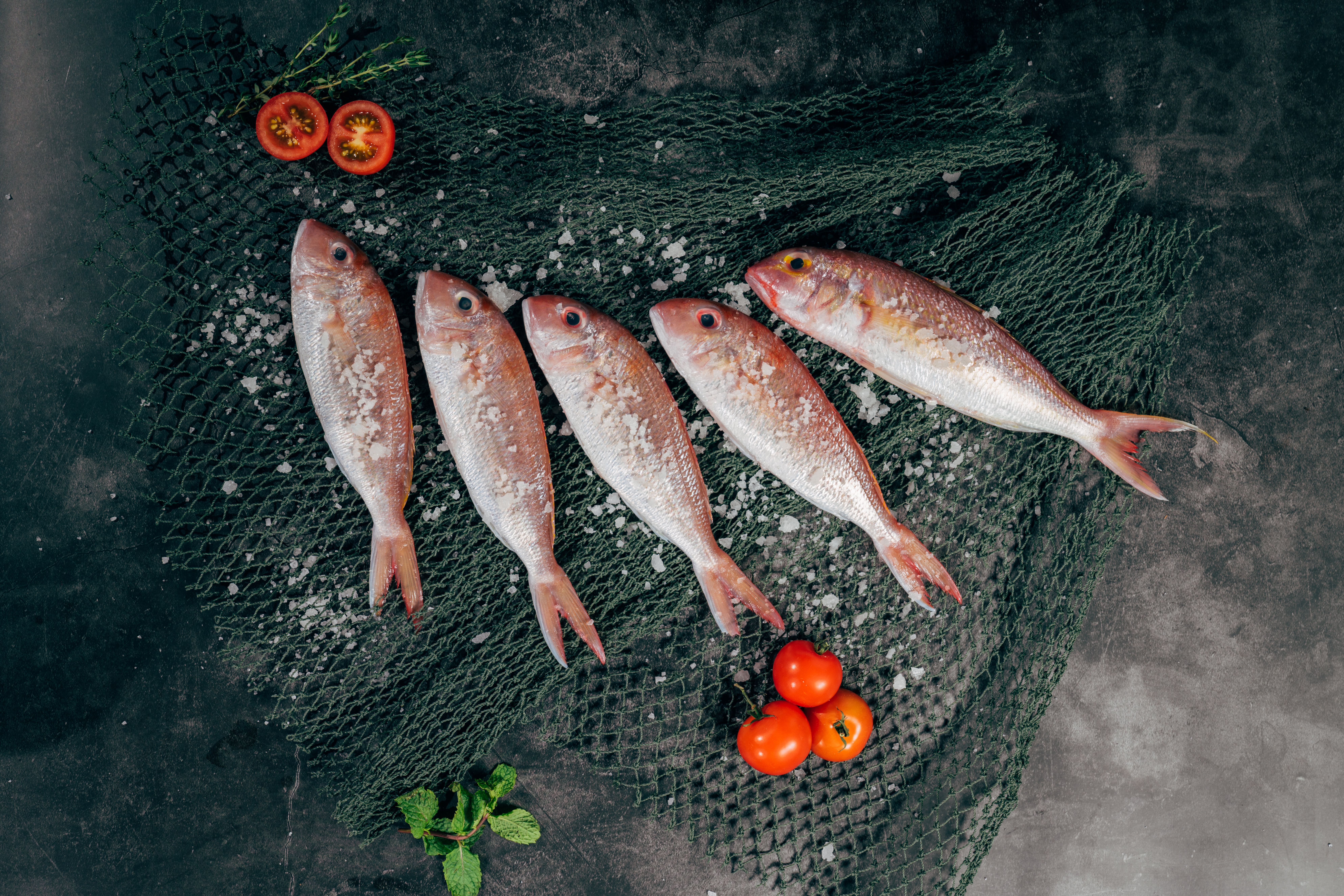 7 Types Of Fish You Must Try In Croatia Simuni