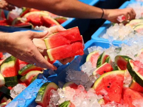 summerfest